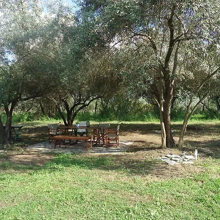 Elaionas Villa Ierissos