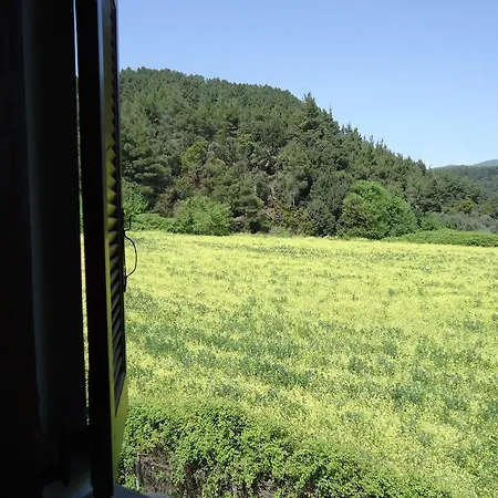 Villa Elaionas Ierissos