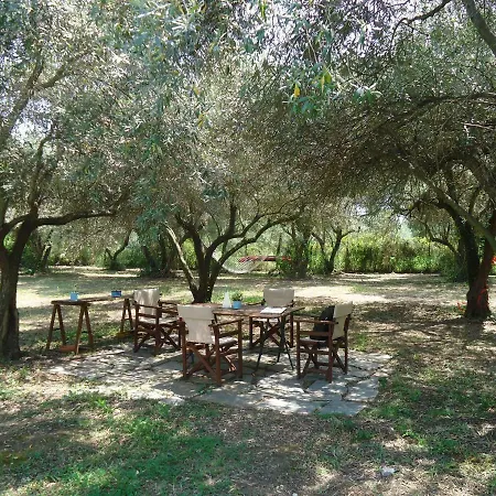 Villa Elaionas *