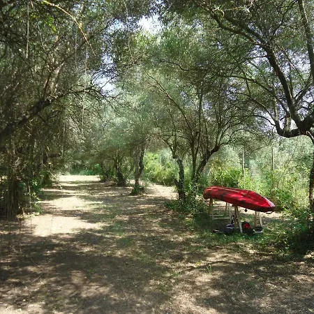 Villa Elaionas *